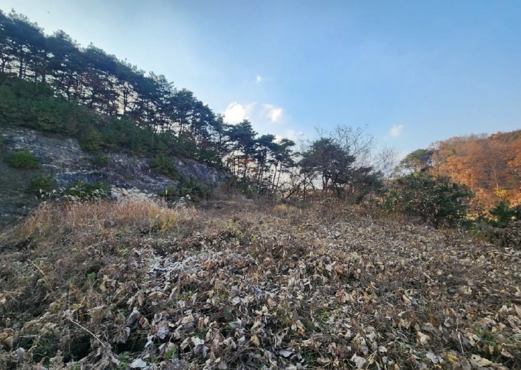 사진 06