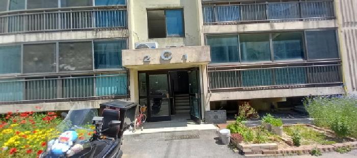 사진 06