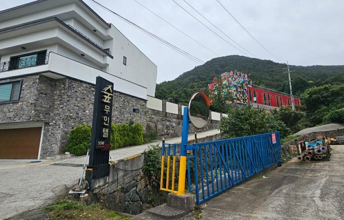 사진 01
