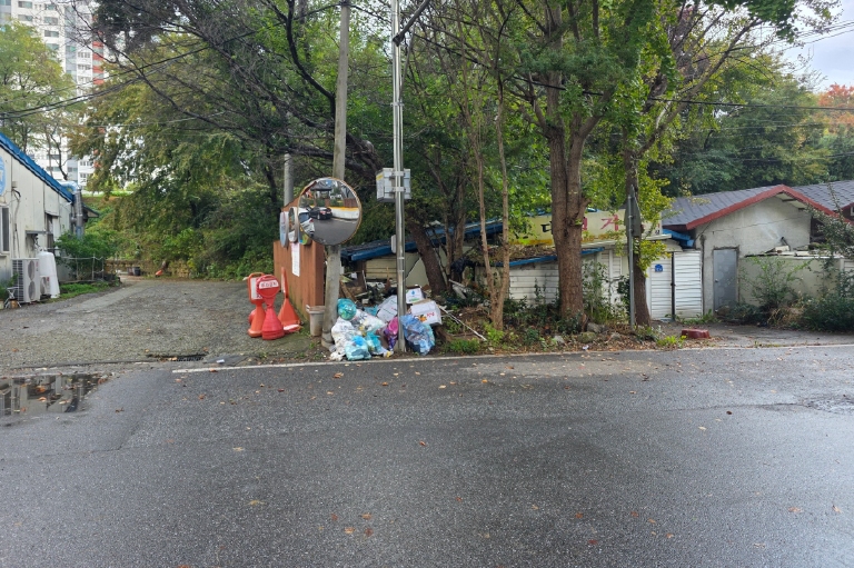 사진 01