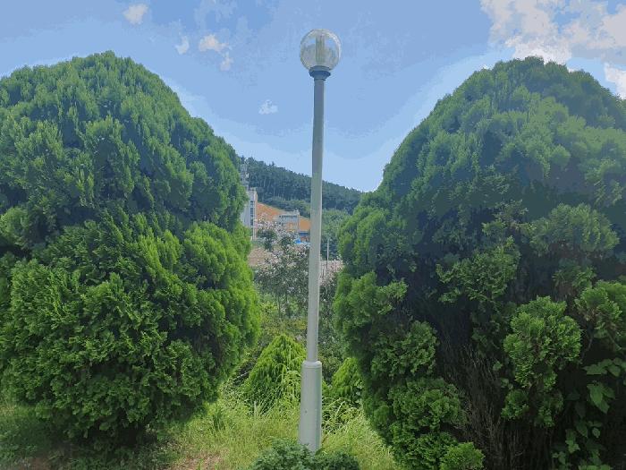사진 02