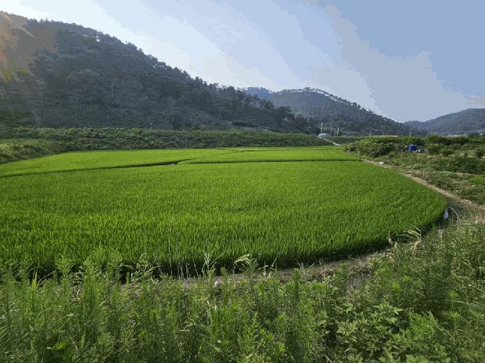 사진 04