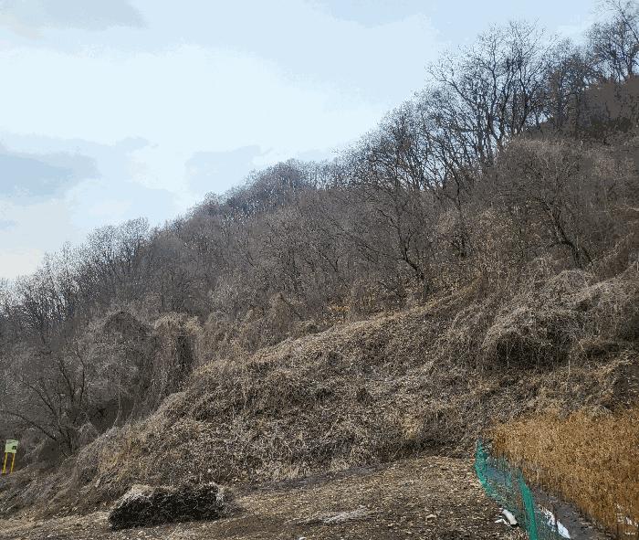사진 05