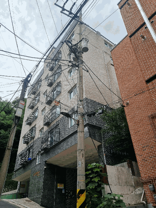 사진 08