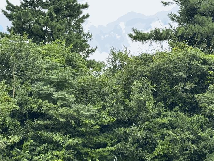 사진 02