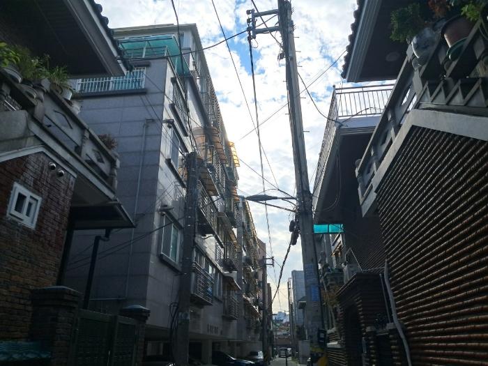 사진 03