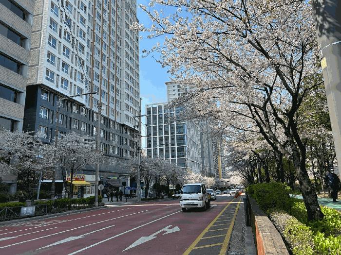 사진 06