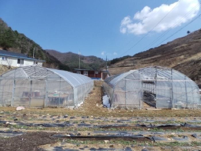사진 03
