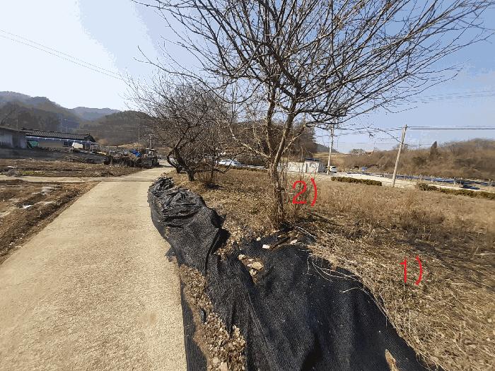 사진 08