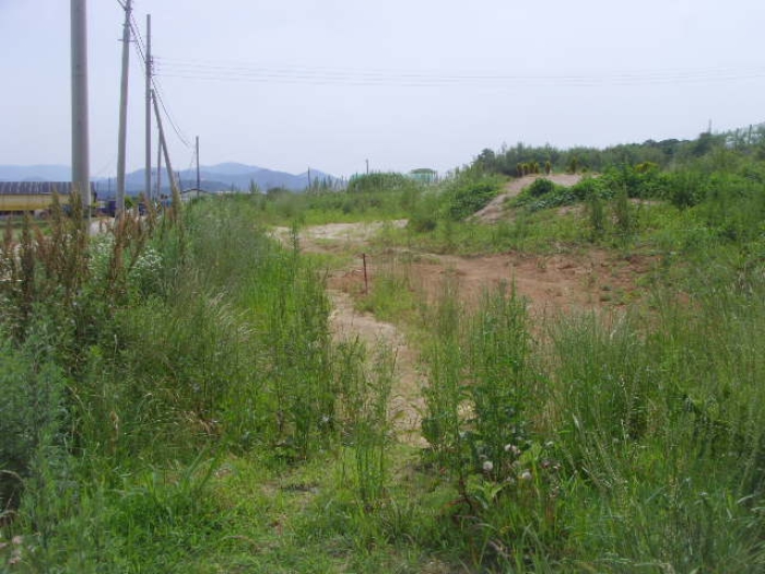사진 07