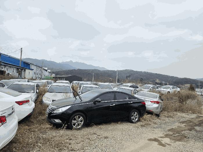 사진 01