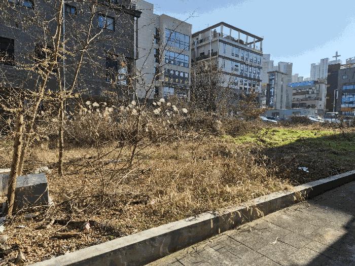 사진 08