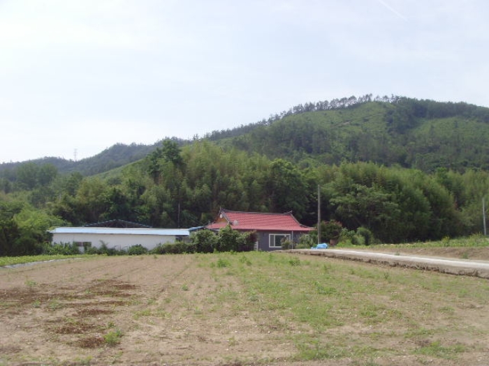 사진 01