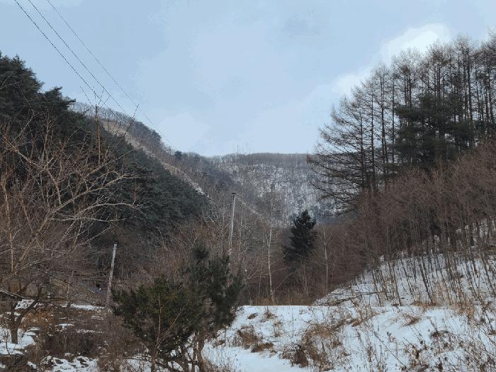 사진 06