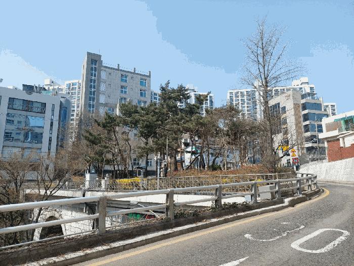 사진 06