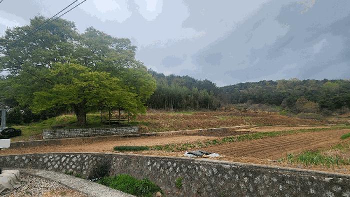 사진 05
