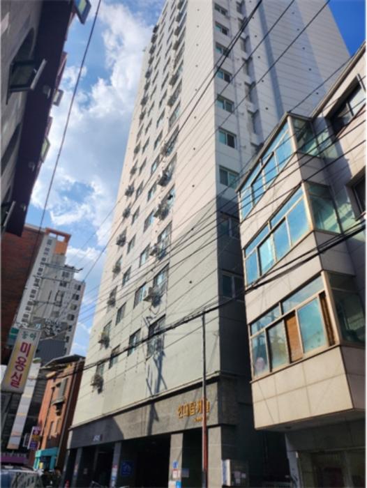 사진 01