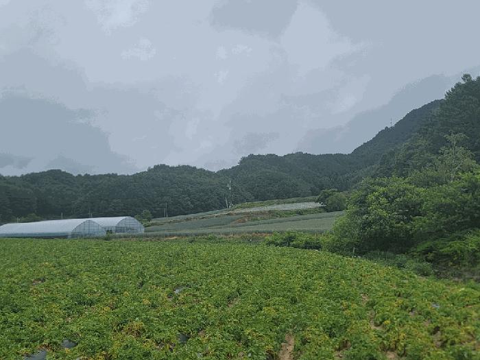 사진 06
