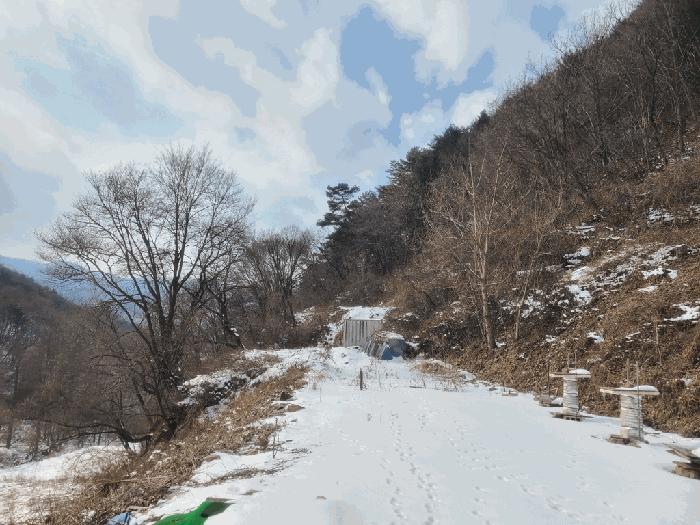 사진 08