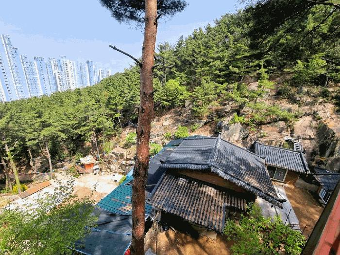 사진 02