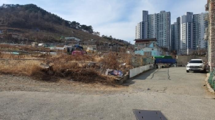 사진 01