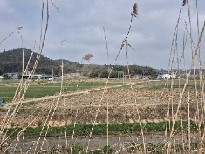 사진 02