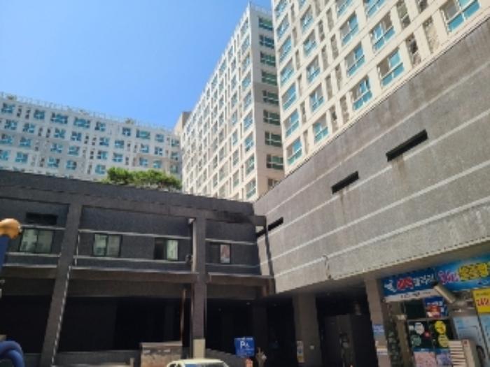 사진 06