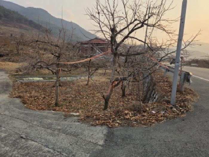사진 01