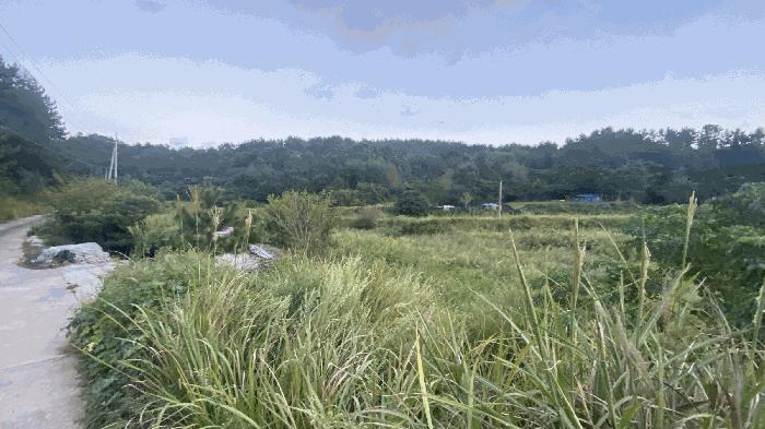 사진 05