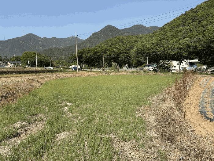 사진 04