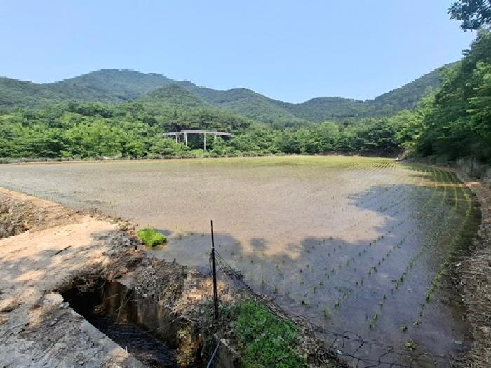 사진 06