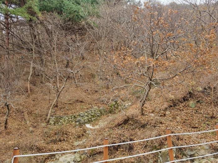 사진 06