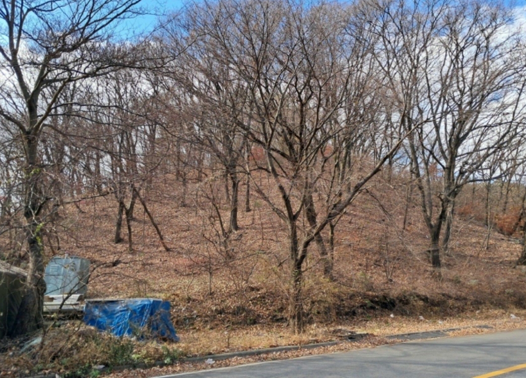 사진 03