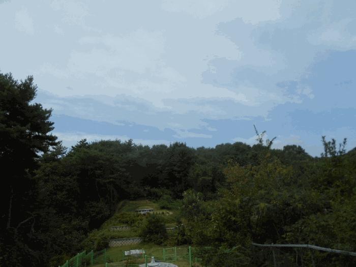 사진 02