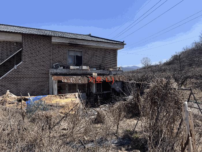 사진 05