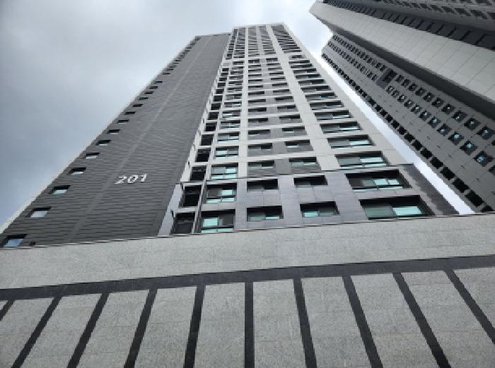사진 01