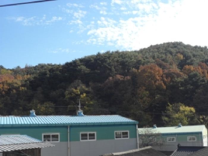 사진 06