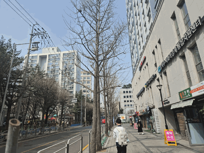 사진 07