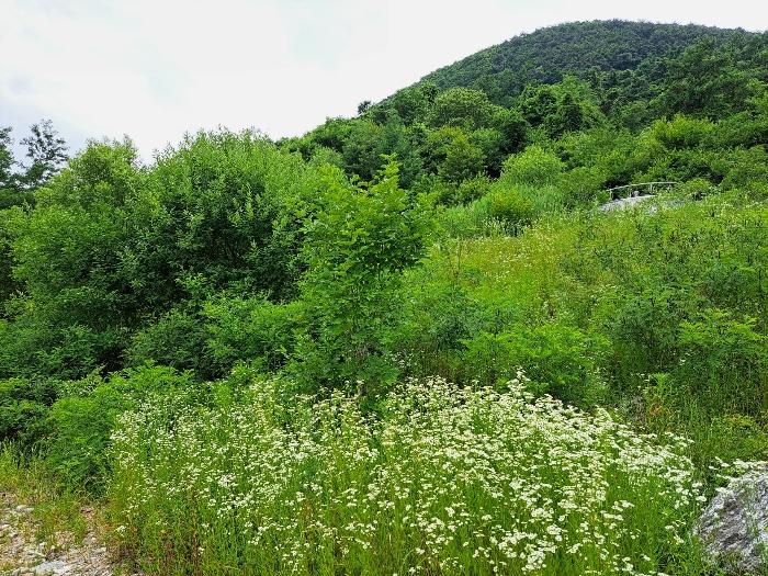 사진 03