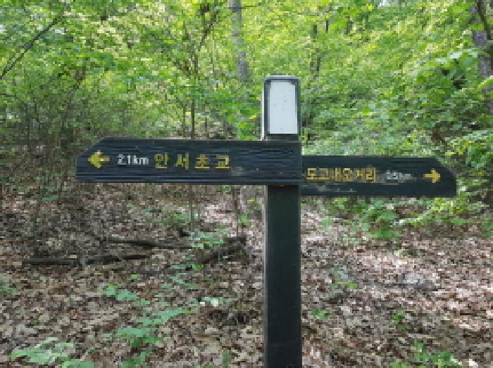 사진 07