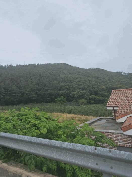 사진 02