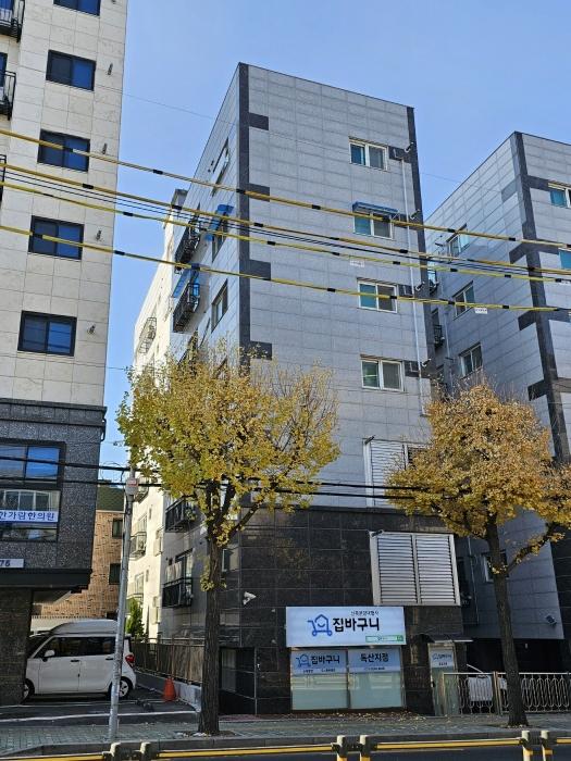 사진 01