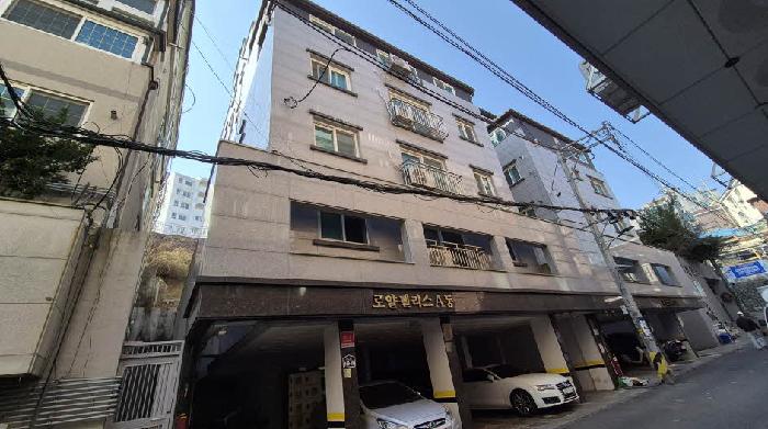 사진 03