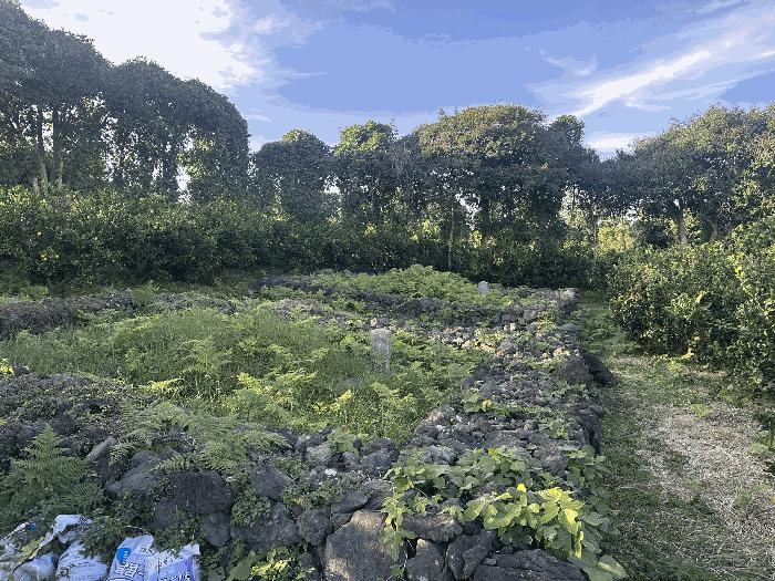 사진 06