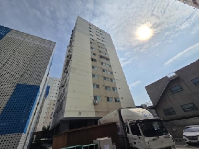 사진 01