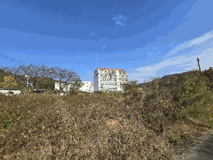 사진 08