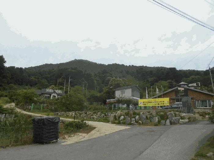 사진 02