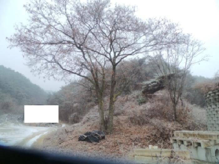 사진 08