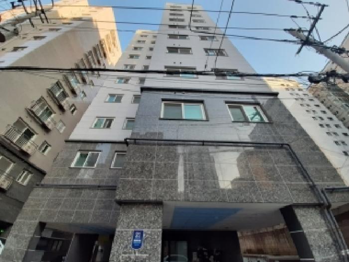 사진 01