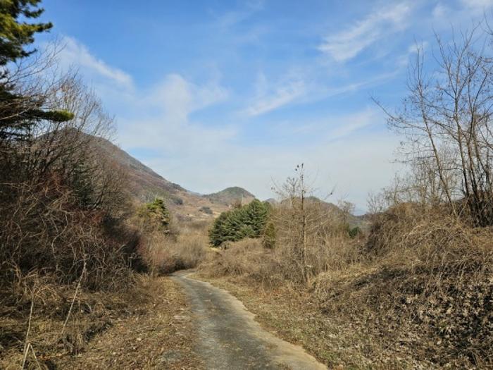사진 06